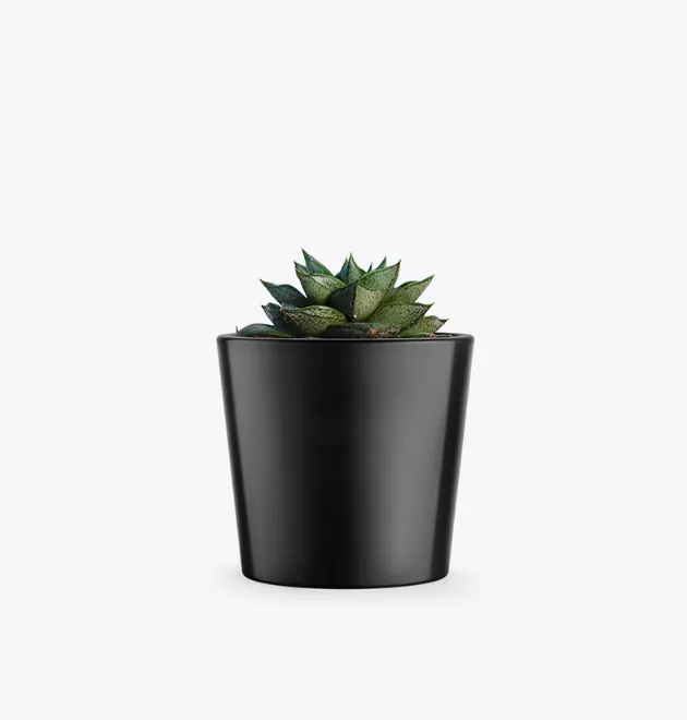 product-image-3_optimized Augue Neque