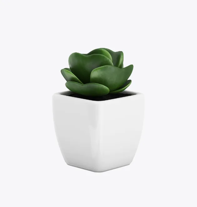 product-image-9_optimized Sollicitudin Aliquam
